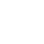 Video / Bild